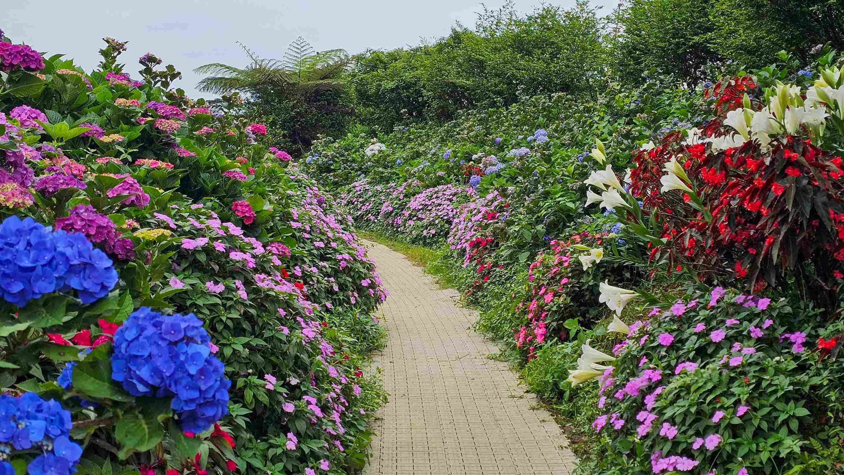 speelsetuin groen en bloemen