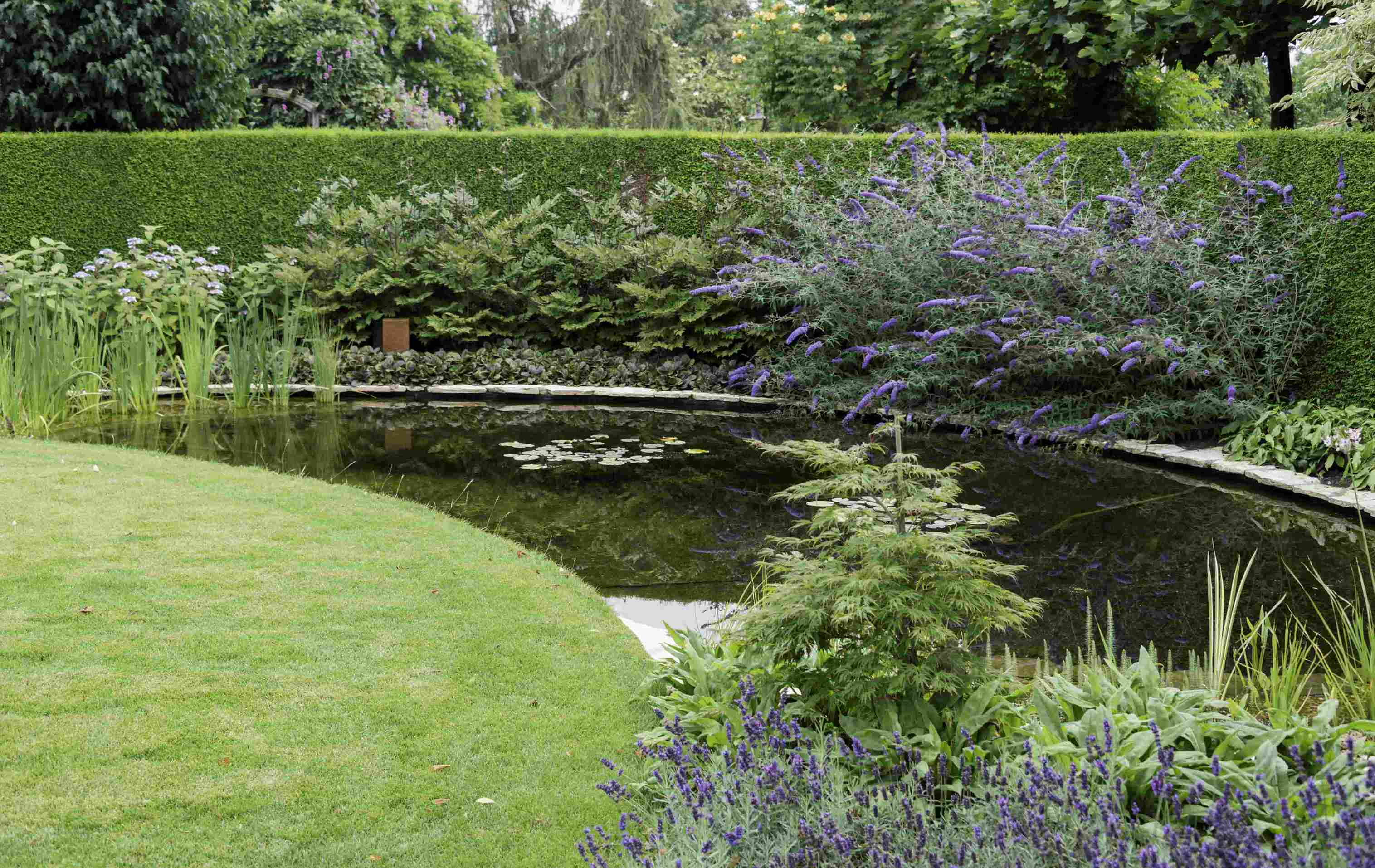 vijver stenen randplanten