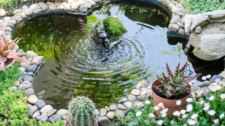 vijver stenen rand stenen