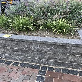 Luxuriöse Teichumrandung Basalt gebürstet geflammt (100x20x3 cm)