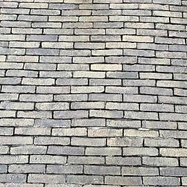 'Wassenaar' Alte Gebackene 'Rijntjes'