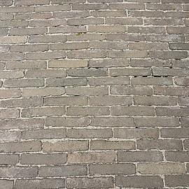 'Wassenaar' Alte Gebackene 'Rijntjes'