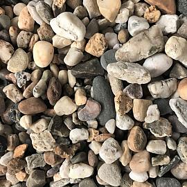 Bauernkies