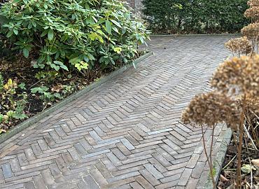 img 0686(1)