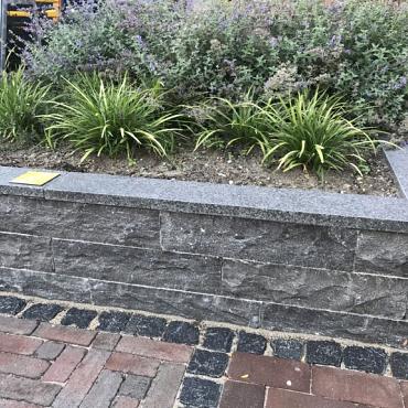 Luxe vijverrand basalt gevlamd geborsteld (100x15x3 cm)