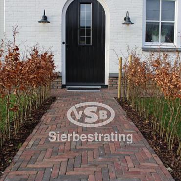 „Margriet'‘ Neues Gebackenes Waalformat Klinker