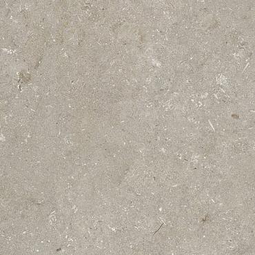 Shell taupe 60x60x3