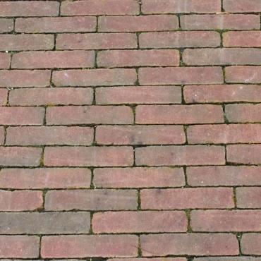 "Margriet" Nieuw Gebakken Waaltjes