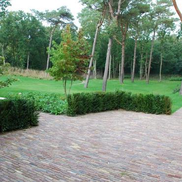 Alte Gebackenes Waalformat Klinker, Bunt
