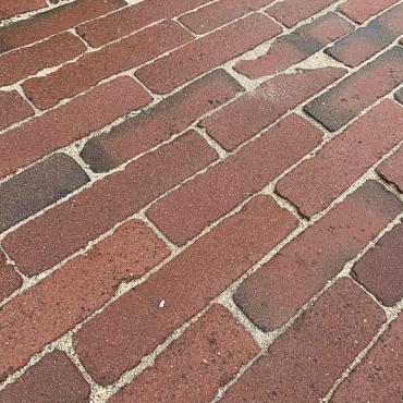 "Geleen" Jong Gebruikte Gebakken Waaltjes