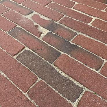 "Geleen" Jong Gebruikte Gebakken Waaltjes