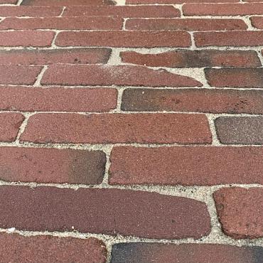 "Geleen" Jong Gebruikte Gebakken Waaltjes