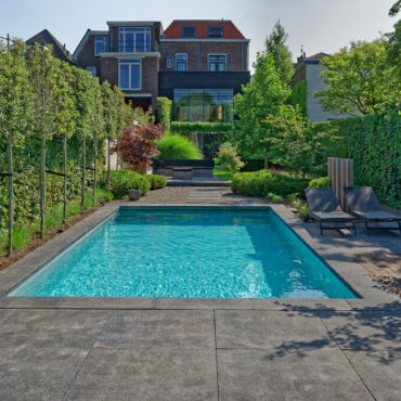 Schellevis tegel antraciet 20x20x7