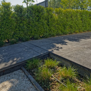 Schellevis tegel carbon 120x60x7