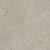 Shell taupe 60x60x3