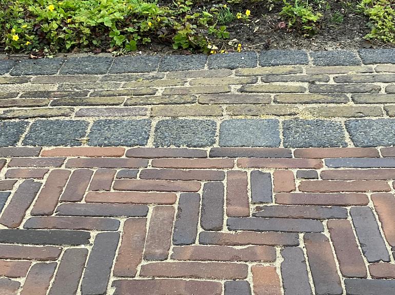 354 img 7128 (1)